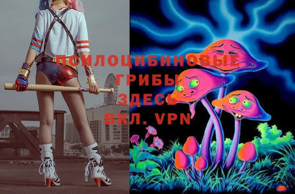 амф Кодинск