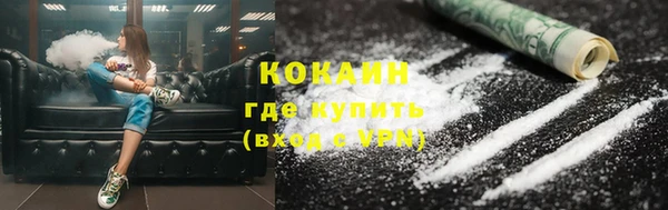амф Козловка