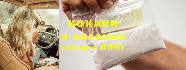 амф Козловка