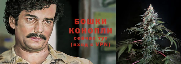 амф Козловка