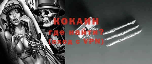 прущие грибы Козельск