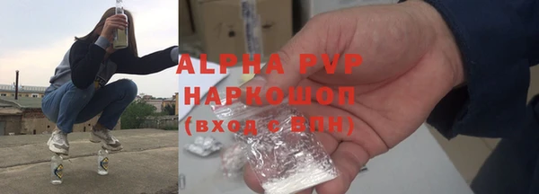 прущие грибы Козельск