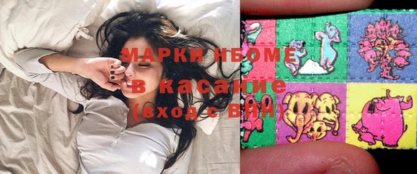 прущие грибы Козельск
