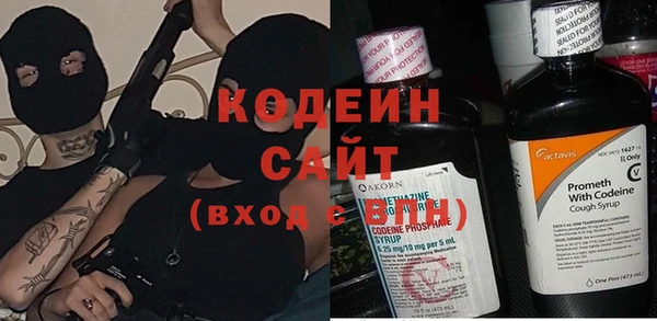 прущие грибы Козельск