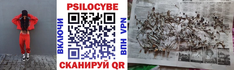 Галлюциногенные грибы мицелий Высоцк