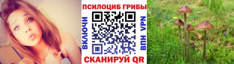 Галлюциногенные грибы мухоморы Купить Высоцк